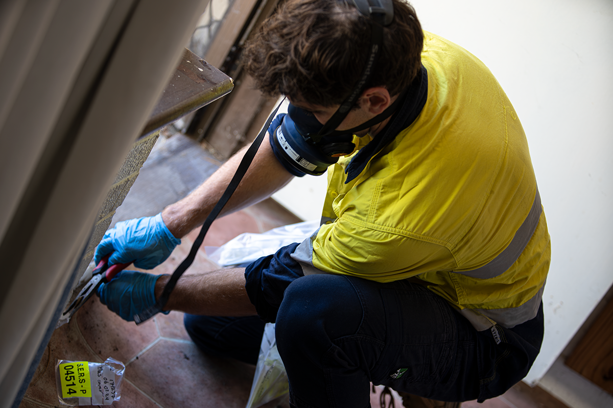 Asbestos Carpet Underlay Is the Danger Under Your Feet? Site